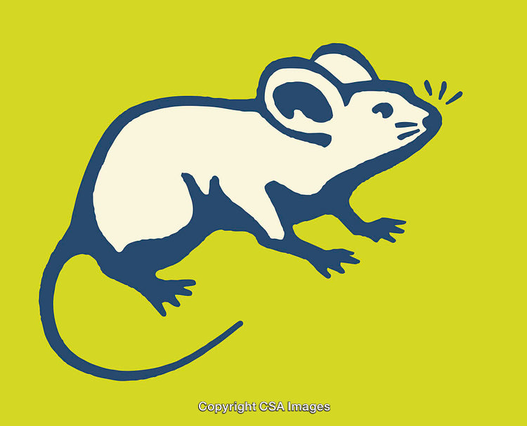 Stylized Blue Line Art Mouse Illustration on Lime Green Background