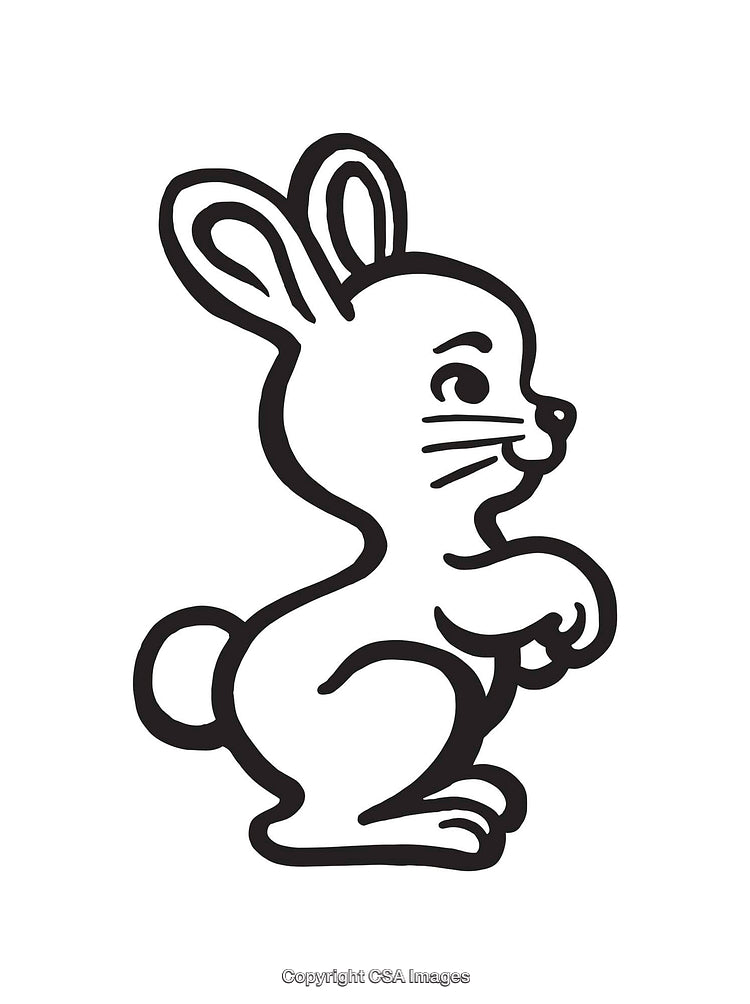 Cute Line Art Illustration of a Bunny in Black and White