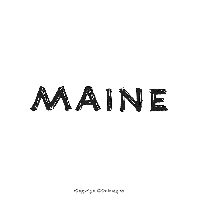 Hand-Drawn Text Illustration Depicting the Word Maine on White Background