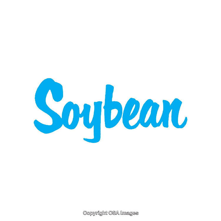 Blue Soybean Text Logo on a Clean White Background