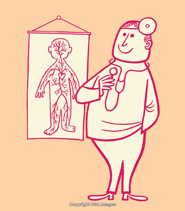 Cartoon Doctor with Anatomy Chart in Color Line Art Illustration