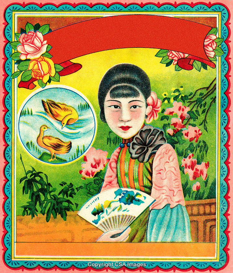 Elegant Vintage Illustration of Lady with Flowers and Ducks