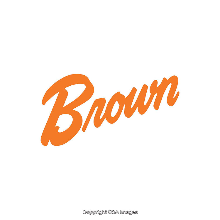 Orange Brown Logo Typeface Design on a Clean White Background