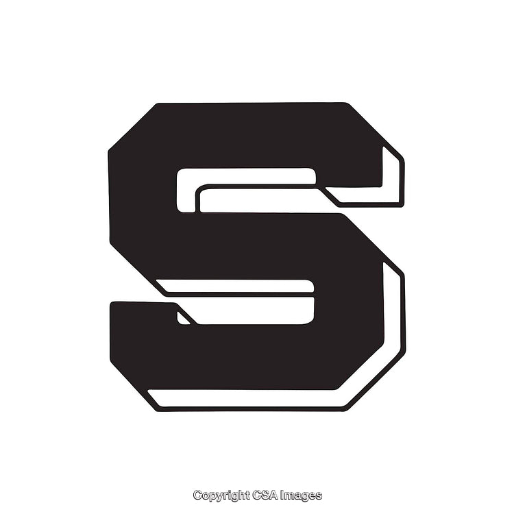 Bold Black and White Letter S Design With Geometric Style