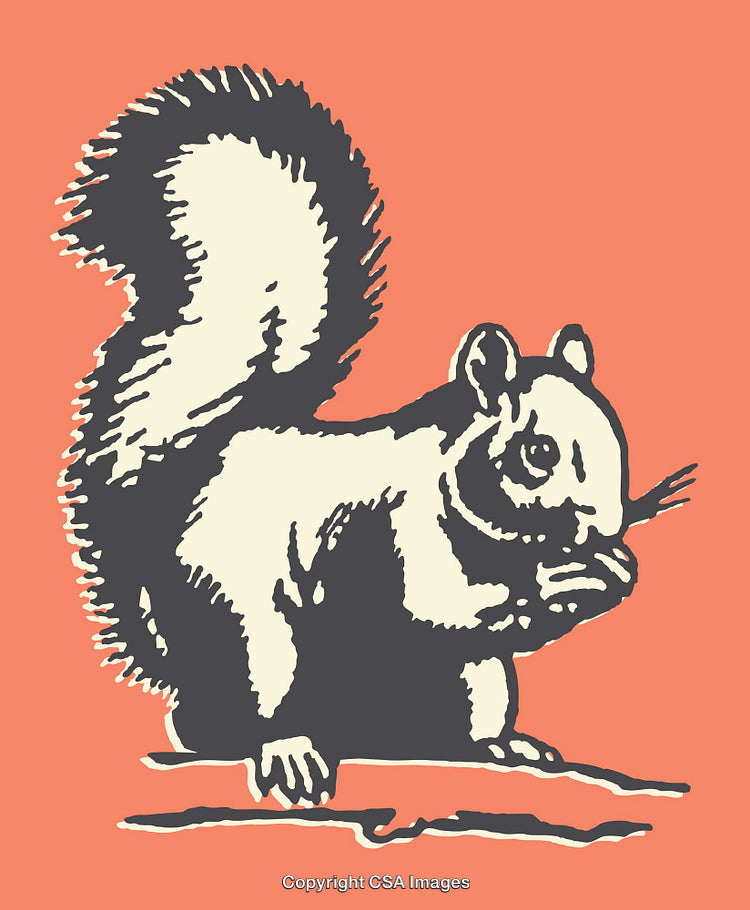 Colorful Artistic Illustration of a Squirrel with a Retro Aesthetic