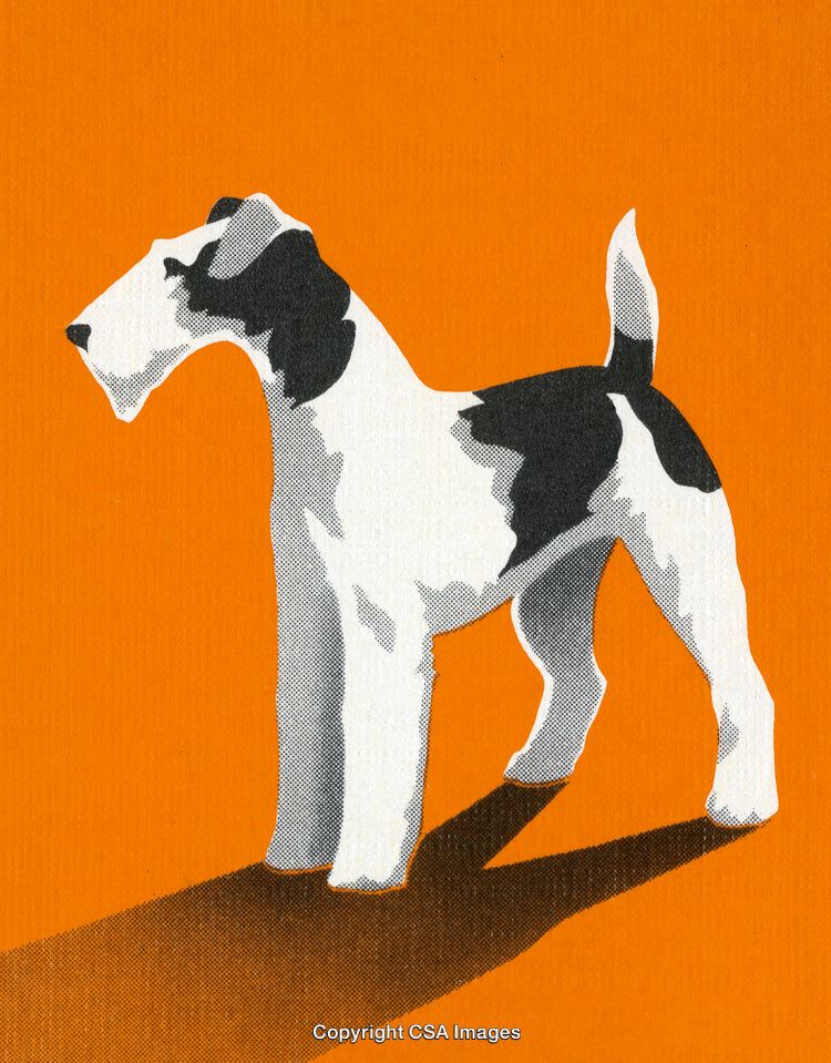 Stylized Artwork of a Wire Fox Terrier on a Vibrant Orange Background