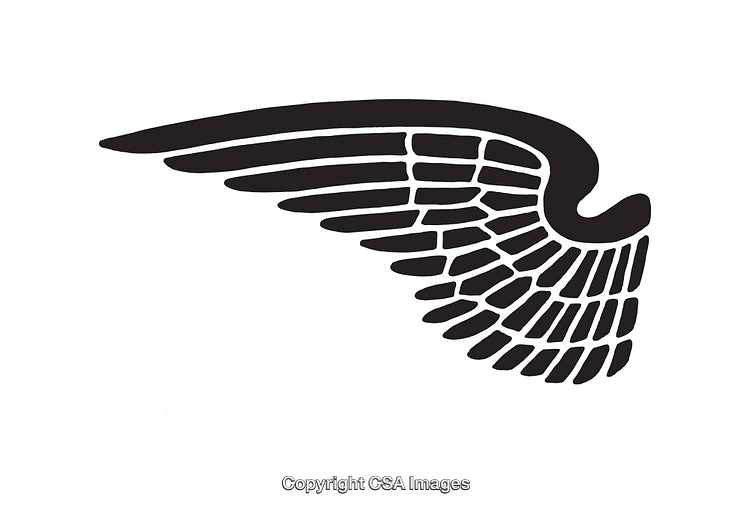 Stylized Black and White Wing Line Art Design Illustration