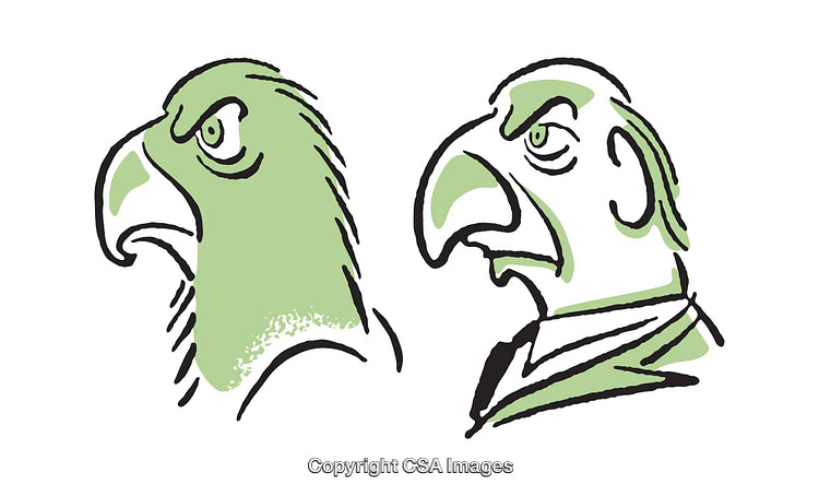 Colorful Illustration of a Bird and Human Face in Stylized Design