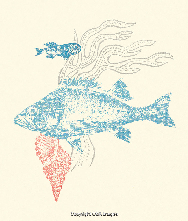 Vintage Illustration of Fish, Shell, and Aquatic Details in Soft Colors