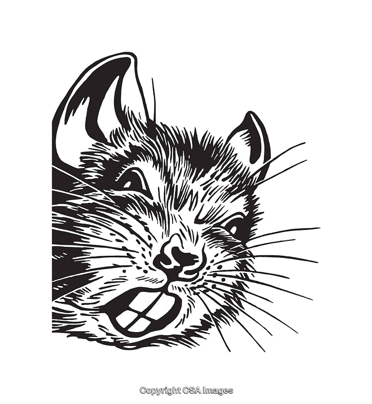 Black and White Line Art Illustration of a Smiling Rodent