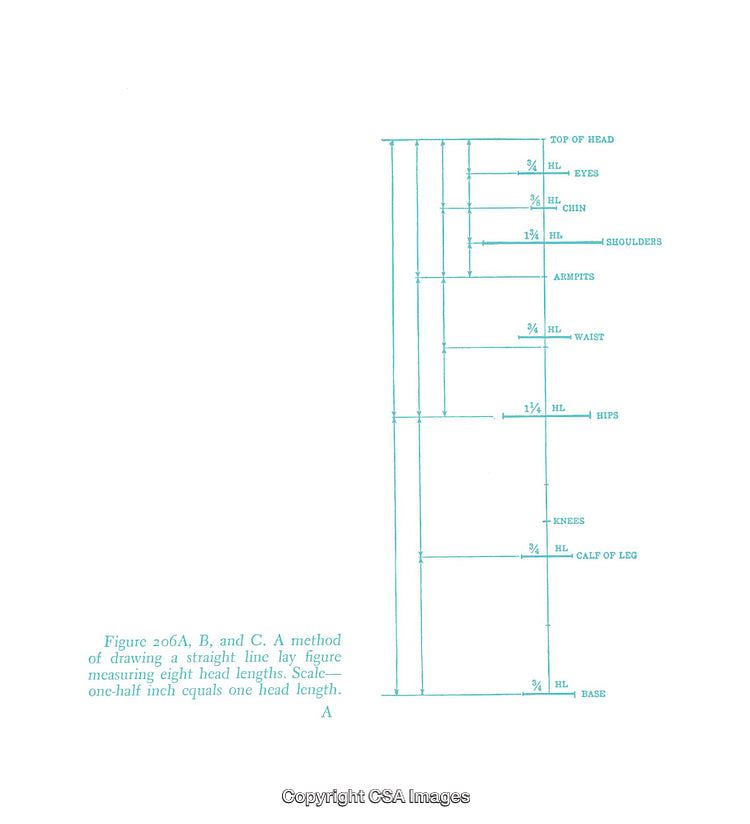 Human Figure Drawing Diagram with Proportional Head Measurements