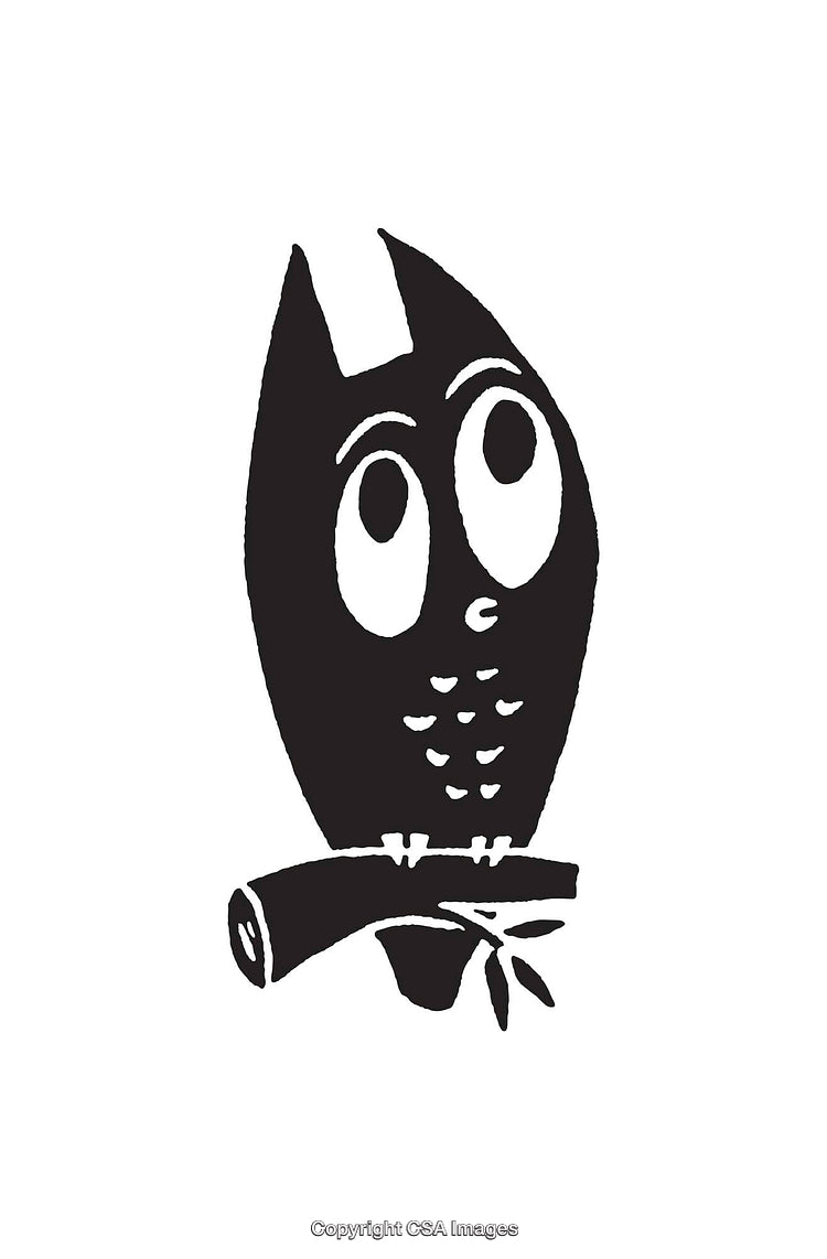 Stylized Black and White Owl Line Art on Branch