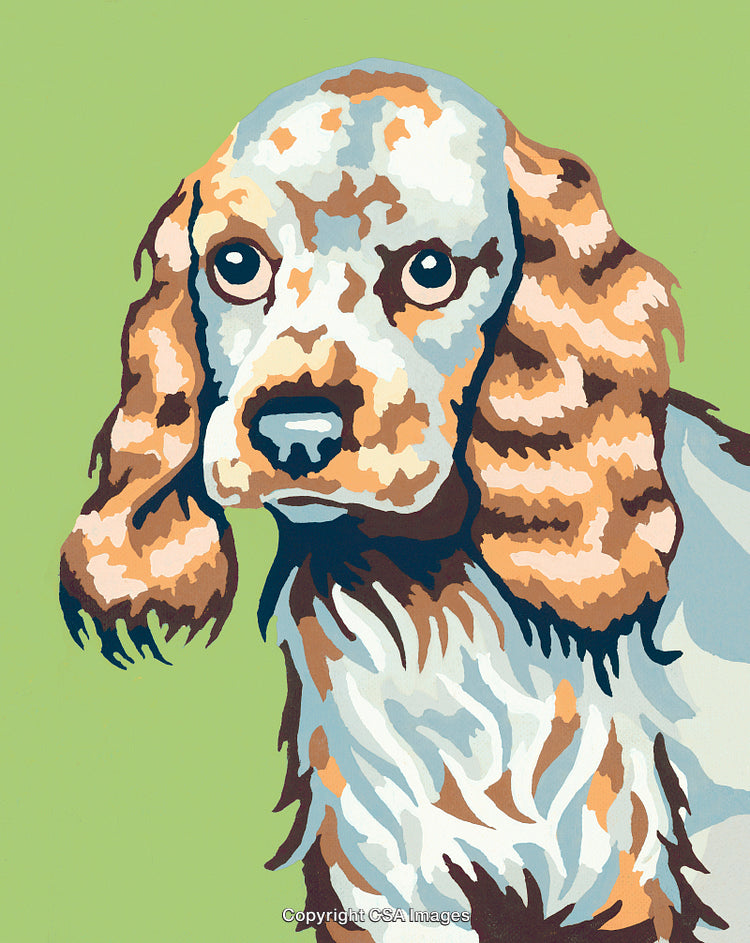 Colorful Paint by Numbers Illustration of a Cute Spaniel Dog