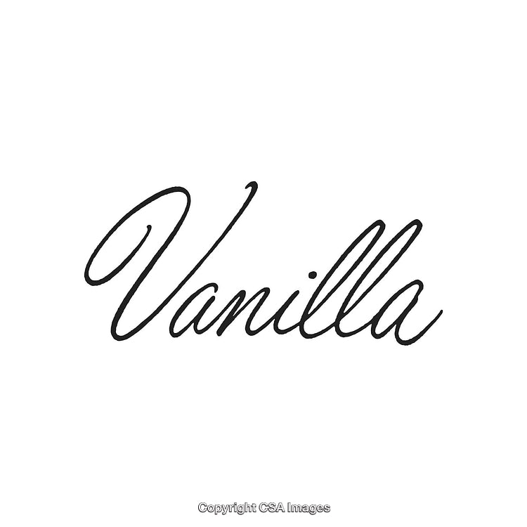 Elegant Black Script 'Vanilla' Text on White Background