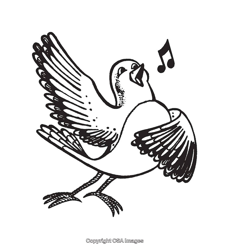 Black and White Line Art of a Singing Bird Illustration