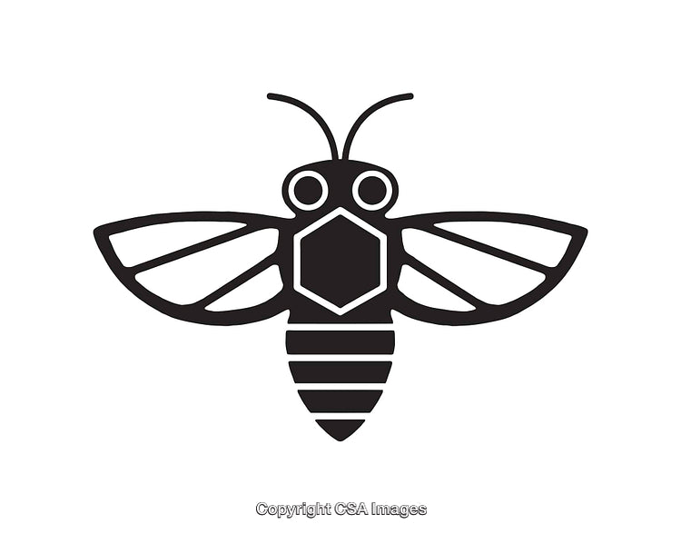 Black and White Line Art Illustration of a Stylized Bee Symbol