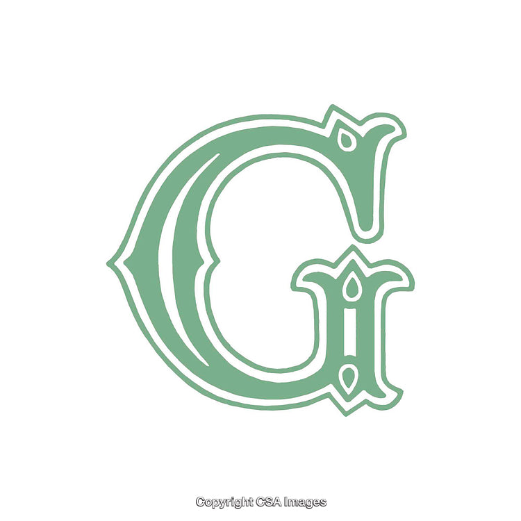 Elegantly Designed Green Letter G in Ornamental Typeface Graphic