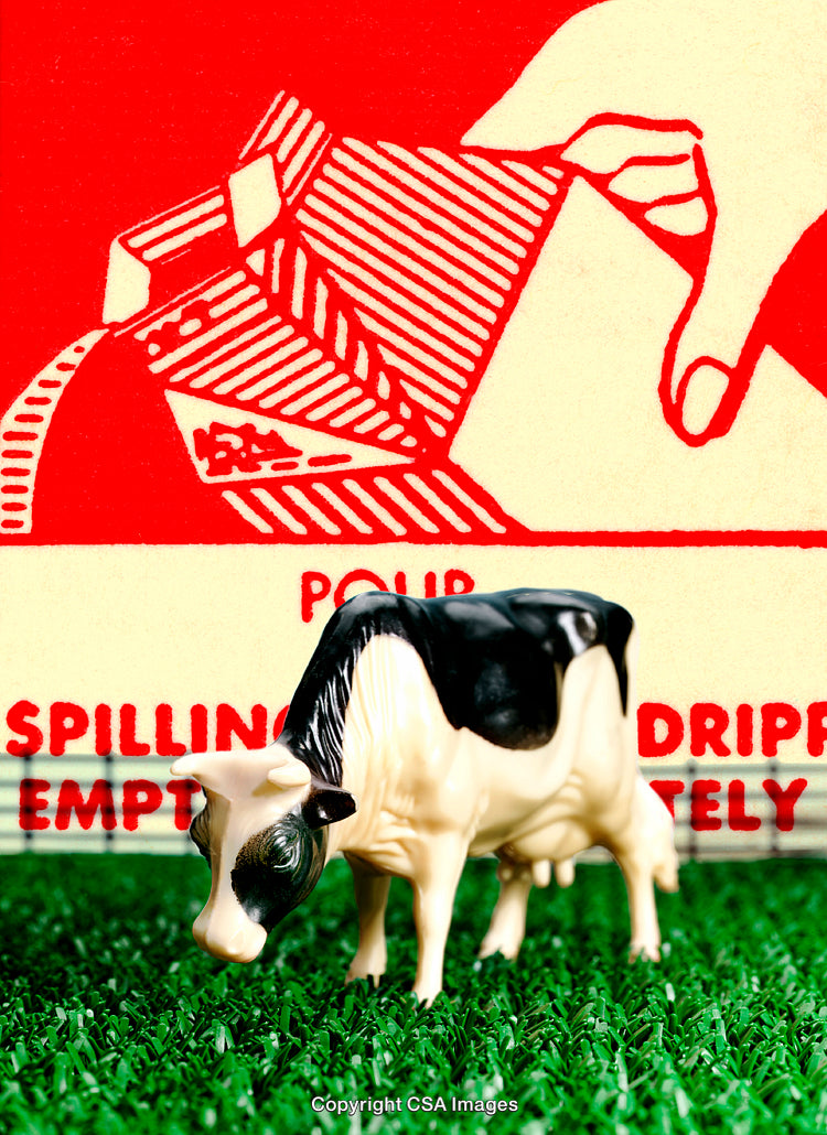 Miniature Plastic Cow With Milk Carton Graphic In Vibrant Colors