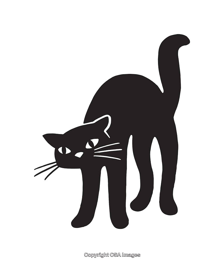 Black Cat Silhouette Illustration with Arched Back and Alert Expression