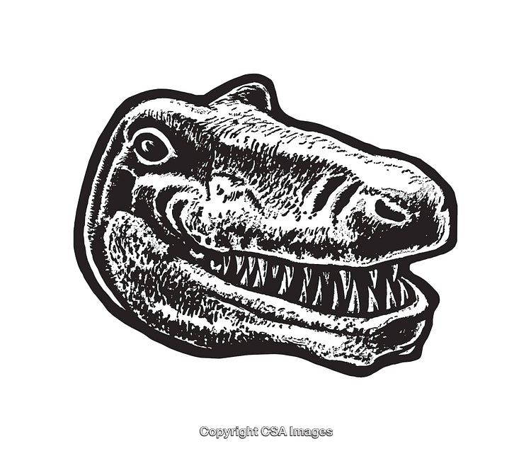 Detailed Black and White Illustration of a Dinosaur Head with Sharp Teeth