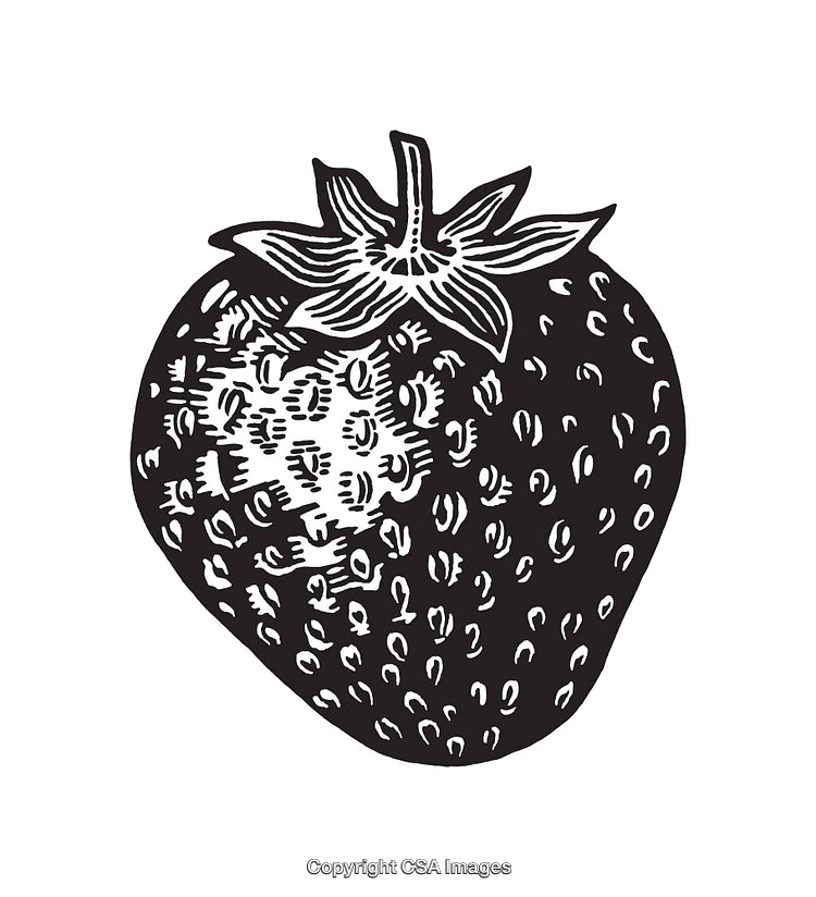 Black and White Line Art Illustration of a Detailed Strawberry