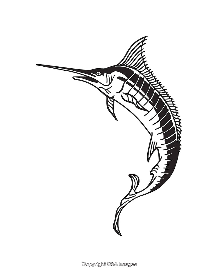 Black and White Swordfish Line Art Illustration in Minimalistic Style