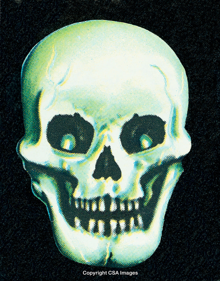 Colorized Skull Illustration on a Black Background with Neon Effects