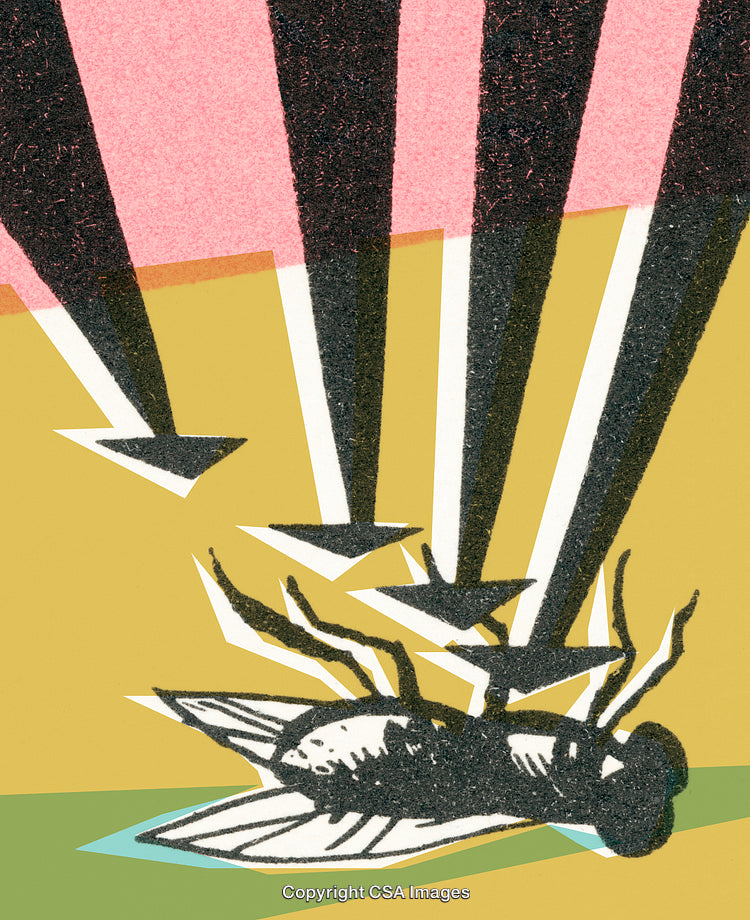 Stylized Illustration of a Fly and Arrows in Vibrant Colors and Graphic Style