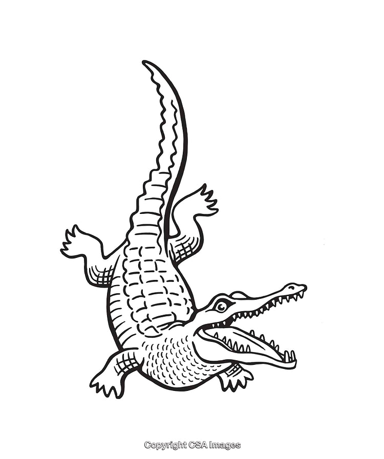 Black and White Crocodile Line Art Illustration with Open Mouth