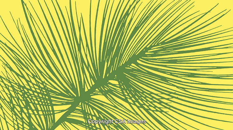 Green Palm Leaf Illustration on a Solid Yellow Background
