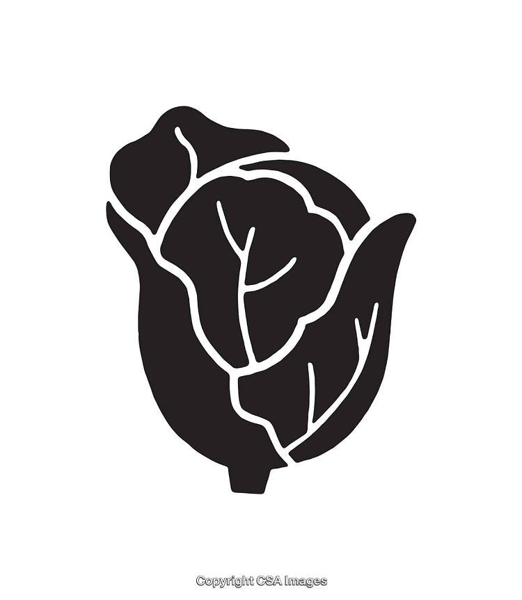 Stylized Black and White Lettuce Icon on White Background