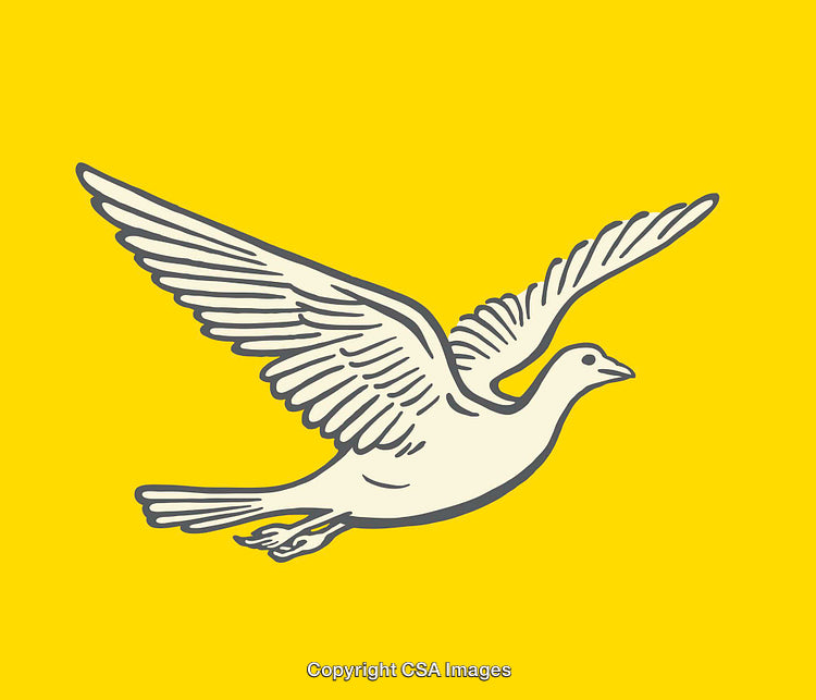 Illustrated Flying Dove on Bright Yellow Background