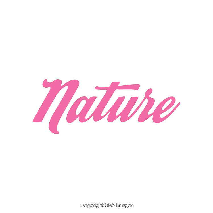 Pink Script Text Depicting the Word Nature on White Background