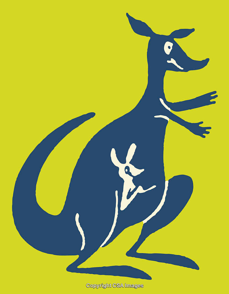 Stylized Kangaroo Line Art Illustration with Minimalist Design on Vibrant Background