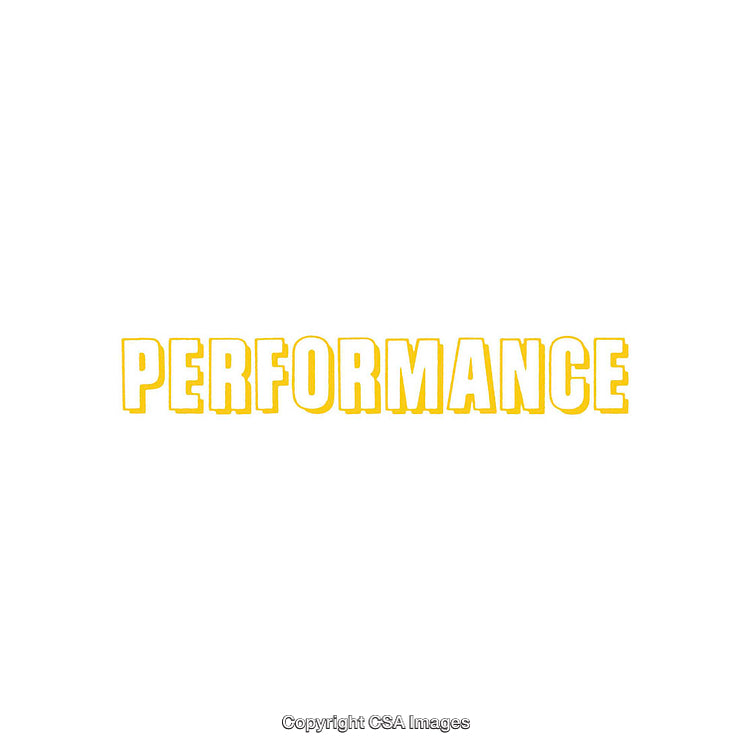 Bold Yellow 'Performance' Text on Clean White Background