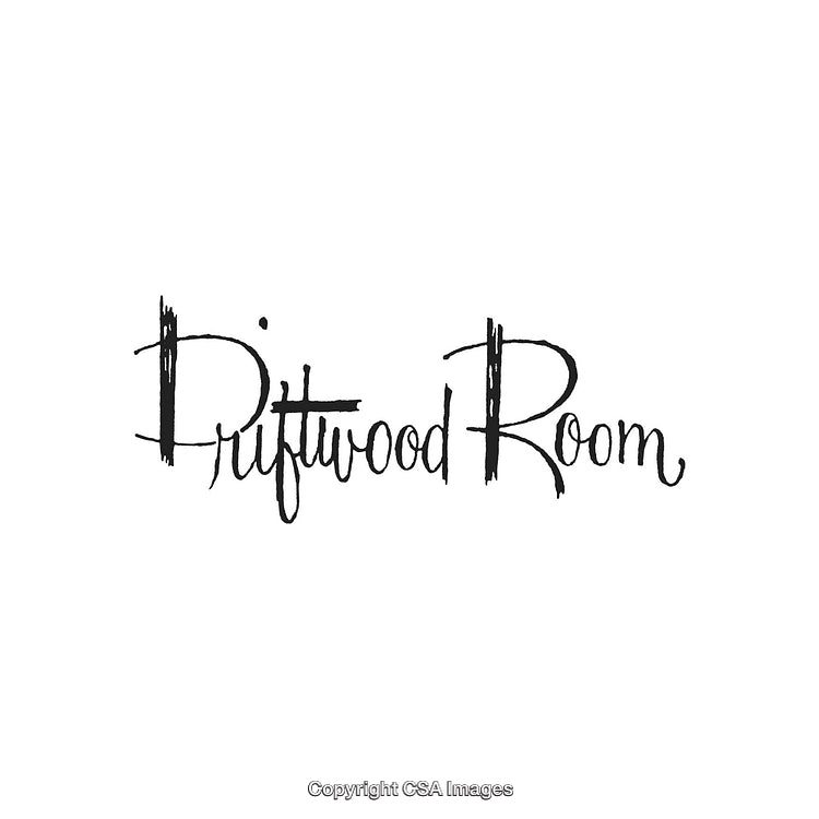 Elegant Handwritten Logo Design Featuring the Text 'Driftwood Room'