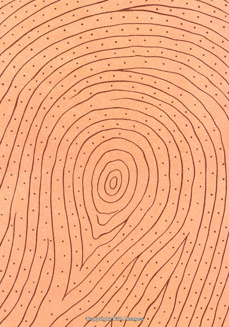 Close-Up View of Abstract Line Patterns with Organic and Artistic Appeal