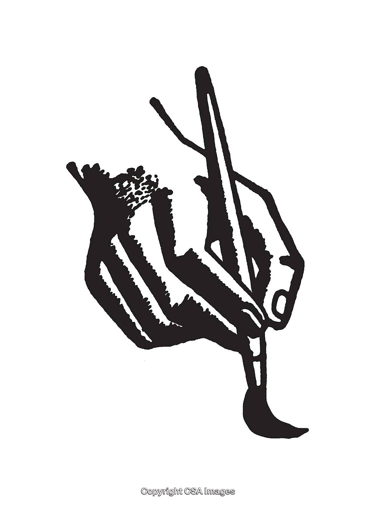 Black and White Illustration of a Hand Holding a Paintbrush