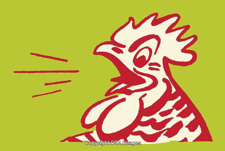 Colorful Line Art of a Rooster Shouting on a Green Background