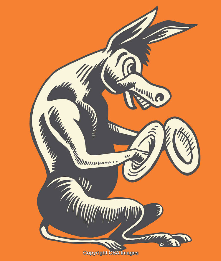 Whimsical Donkey Line Art Illustration on Bright Orange Background