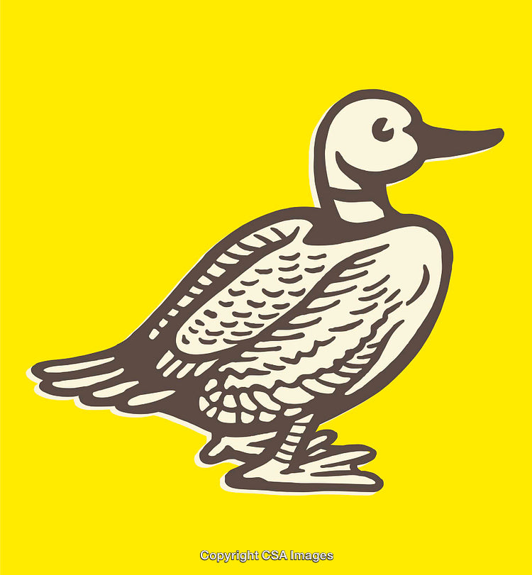 Hand-Drawn Illustration of a Duck in Line Art Style
