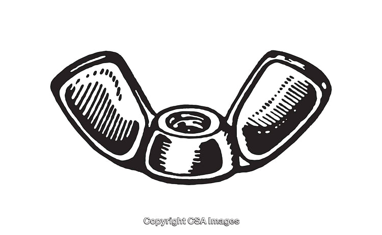 Black and White Line Art of a Wingnut Illustration