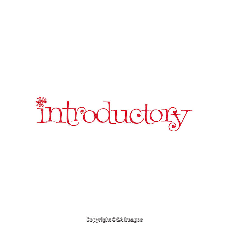 Typography Design Featuring the Word Introductory in Elegant Red Script