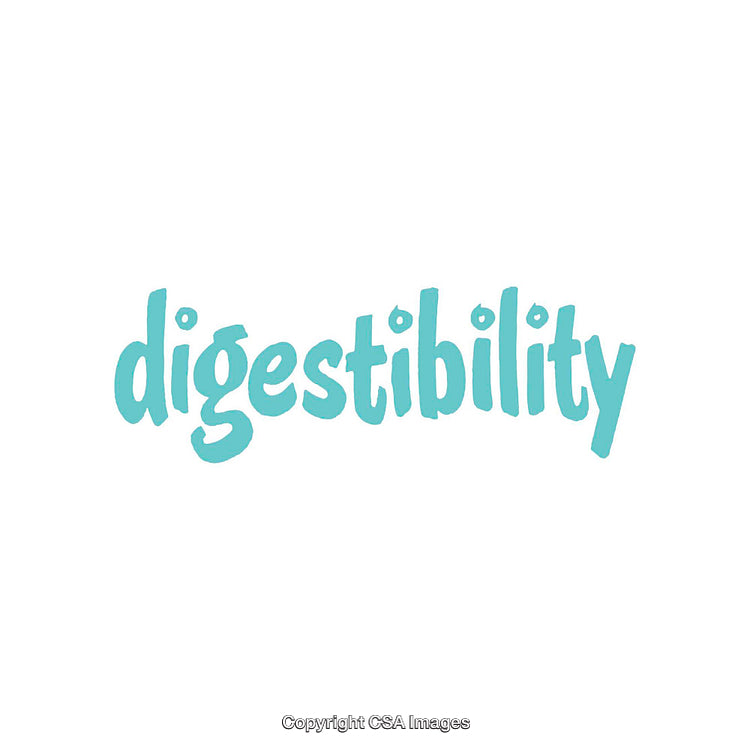 Playful Typographic Art of the Word Digestibility in Blue Letters
