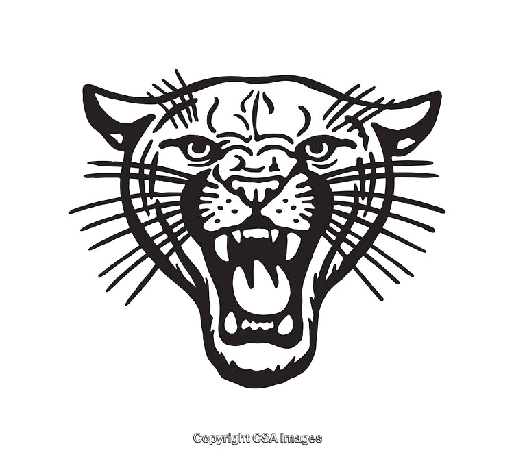 Black and White Line Art of a Fierce Panther Face