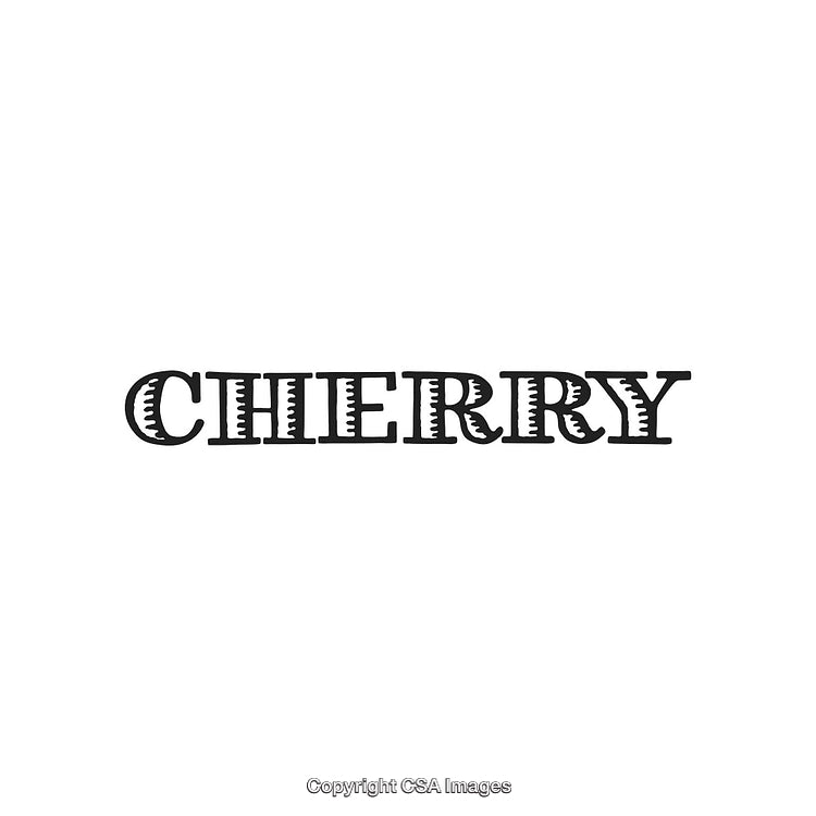 Bold Black Text Reading 'Cherry' with Decorative Lettering on White