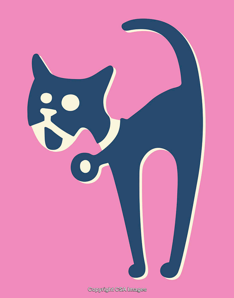 Colorful Minimalist Line Art Illustration of a Cat on a Pink Background