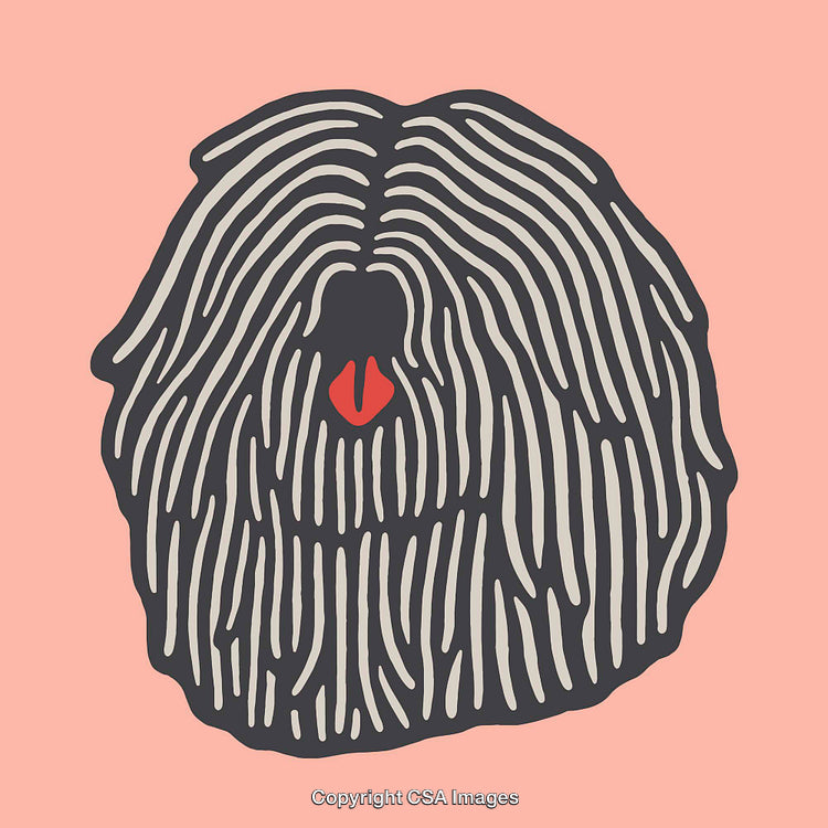 Colorful Abstract Illustration of a Puli Dog with Textured Details