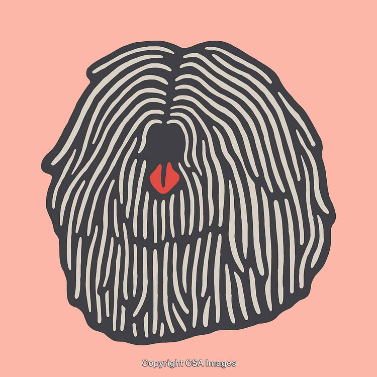 Colorful Abstract Illustration of a Puli Dog with Textured Details
