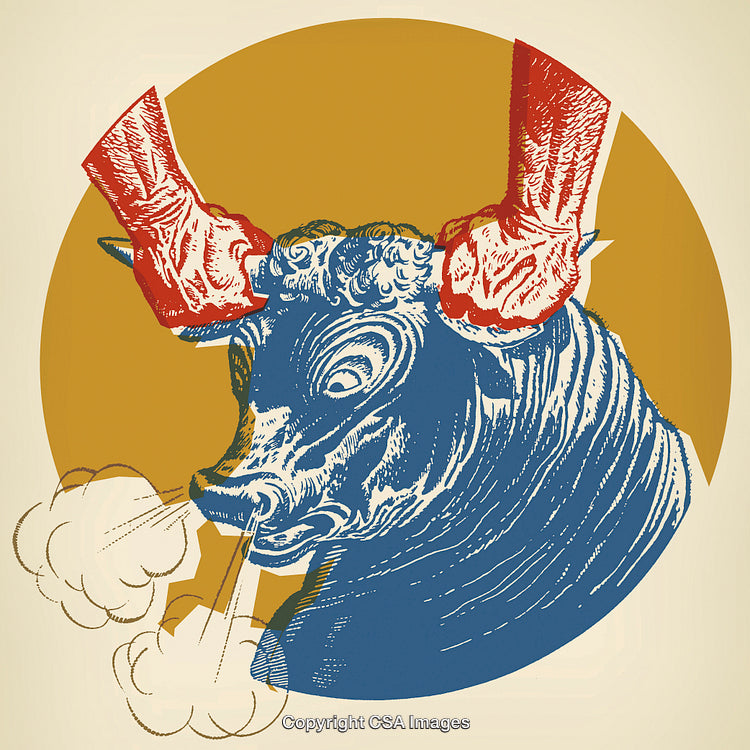 Bold Graphic of a Charging Bull With Symbolic Strength and Determination